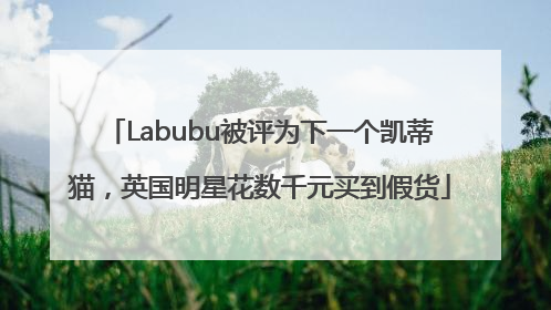 Labubu被评为下一个凯蒂猫，英国明星花数千元买到假货